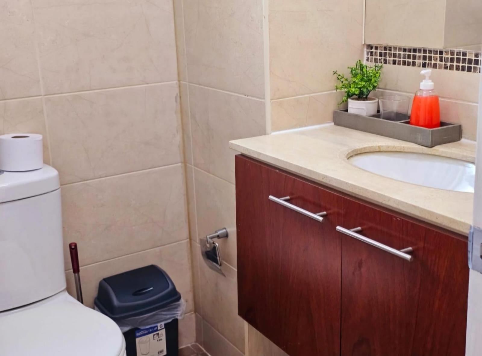 Apart Hotel Suagon Suites Santiago Centro Eksteriør bilde